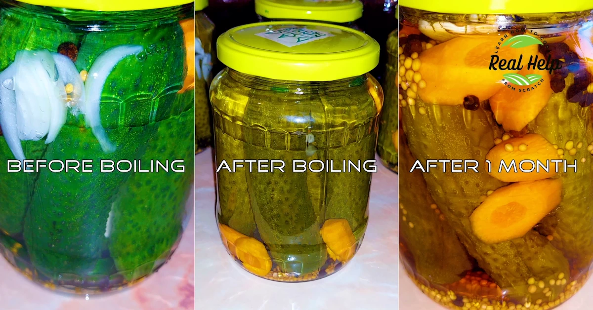 Easy Perfect Dill Pickles Recipe